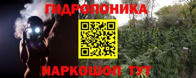 PSILOCYBIN Малгобек