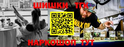индика Лесосибирск