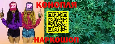 индика Лесосибирск